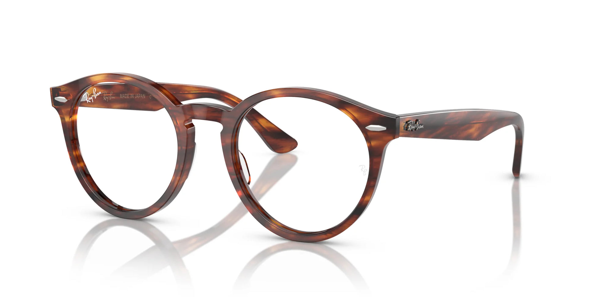 Ray-Ban LARRY RX7680V Eyeglasses Striped Havana