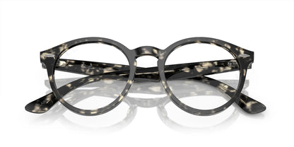 Ray-Ban LARRY RX7680V Eyeglasses | Size 49