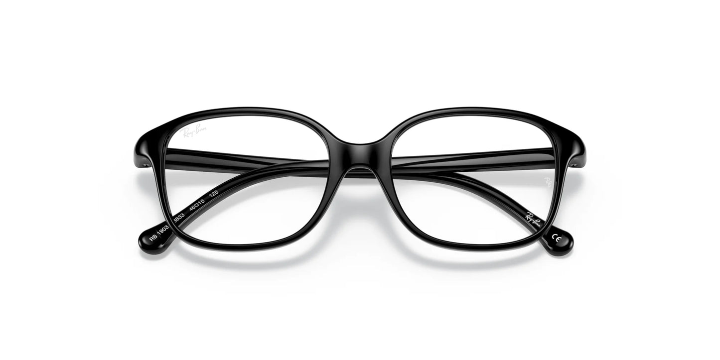Ray-Ban RY1903 Eyeglasses | Size 48