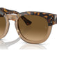 Havana On Transparent Brown №1292M2