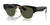 Ray-Ban MEGA CLUBMASTER RB0316S Sunglasses / Black On Gold №901/31