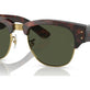 Tortoise On Gold №990/31