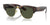 Ray-Ban MEGA CLUBMASTER RB0316S Sunglasses / Tortoise On Gold №990/31
