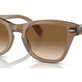 Transparent Light Brown №664051