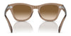 Ray-Ban RB0707S Sunglasses / Black №901/31 / Green (3N 13.2%) / Size 50