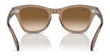 Ray-Ban RB0707S sunglasses with gradient lenses and an acetate frame, shown from behind on a reflective surface.