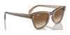 Ray-Ban RB0707S Sunglasses / Black №901/31 / Green (3N 13.2%) / Size 50