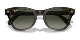 Ray-Ban RB0707S sunglasses feature polarized dark lenses and a glossy brown acetate frame for a stylish look.