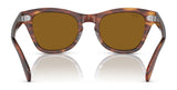 Back view of Ray-Ban RB0707S sunglasses with brown polar lenses and an acetate tortoiseshell frame resting on a reflective surface.