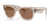 Ray-Ban MEGA WAYFARER RB0840S Sunglasses | Size 51 / Transparent Light Brown №68701A