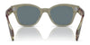 Ray-Ban RB0880S Sunglasses / Black №901/31 / Green (3N 13.2%) / Size 52