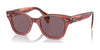 Ray-Ban RB0880S Sunglasses / Transparent Pink №6639AF / Dark Violet (Polarized) (3P 13.6%) / Size 49