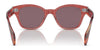 Ray-Ban RB0880S Sunglasses / Black №901/31 / Green (3N 13.2%) / Size 52