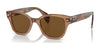 Ray-Ban RB0880S Sunglasses / Transparent Brown №664057 / Brown (Polarized) (3P 11.9%) / Size 52