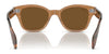 Ray-Ban RB0880S Sunglasses / Black №901/31 / Green (3N 13.2%) / Size 52