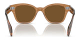 Ray-Ban RB0880S Sunglasses