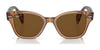 Ray-Ban RB0880S Sunglasses / Black №901/31 / Green (3N 13.2%) / Size 52