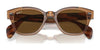 Ray-Ban RB0880S Sunglasses / Black №901/31 / Green (3N 13.2%) / Size 52