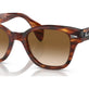 Striped Havana №954/51