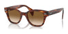 Ray-Ban RB0880S Sunglasses / Striped Havana №954/51 / Brown (2N 30.5%) / Size 49