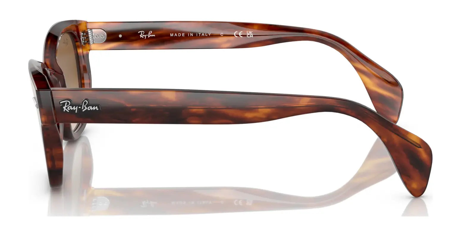 Side view of Ray-Ban RB0880S sunglasses featuring tortoiseshell thick frames with visible branding on the temples, ideal for outdoor adventures with excellent UV protection.