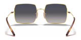 Ray-Ban SQUARE RB1971 Sunglasses | Size 54