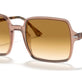 Transparent Brown №128151