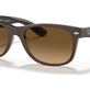 Transparent Brown №6608M2