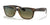 Ray-Ban NEW WAYFARER RB2132 Sunglasses | Size 55 / Havana №894/76