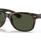 Tortoise №902