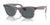 Ray-Ban WAYFARER RB2140 Sunglasses / Grey On Transparent №1355R5