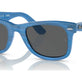 Photo Striped Blue №1409B1