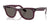 Ray-Ban WAYFARER RB2140 Sunglasses / Violet On Transparent Pink №1447B1