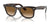 Ray-Ban WAYFARER RB2140 Sunglasses / Tortoise №902/51