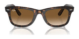 Ray-Ban WAYFARER RB2140 Sunglasses