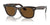 Ray-Ban WAYFARER RB2140 Sunglasses / Tortoise №902/57