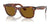 Ray-Ban WAYFARER RB2140 Sunglasses / Striped Havana №954