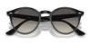 Ray-Ban RB2180 Sunglasses / Black №601/71 / Dark Green (3N 12.9%) / Size 49