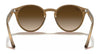 Ray-Ban RB2180 Sunglasses / Black №601/71 / Dark Green (3N 12.9%) / Size 49
