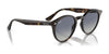 Ray-Ban RB2180 Sunglasses / Black №601/71 / Dark Green (3N 12.9%) / Size 49