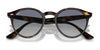 Ray-Ban RB2180 Sunglasses / Black №601/71 / Dark Green (3N 12.9%) / Size 49