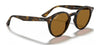 Ray-Ban RB2180 Sunglasses / Black №601/71 / Dark Green (3N 12.9%) / Size 49