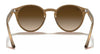 Ray-Ban RB2180F Sunglasses | Size 49 / Black №601/71 / Green Classic (3N 12.0%)
