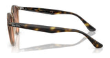 Side view of tortoiseshell Ray-Ban RB2180F Sunglasses, Size 49, featuring a low bridge fit, on a white background.