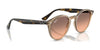 Ray-Ban RB2180F Sunglasses | Size 49 / Black №601/71 / Green Classic (3N 12.0%)