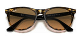 Ray-Ban WAYFARER II RB2185 Sunglasses | Size 55
