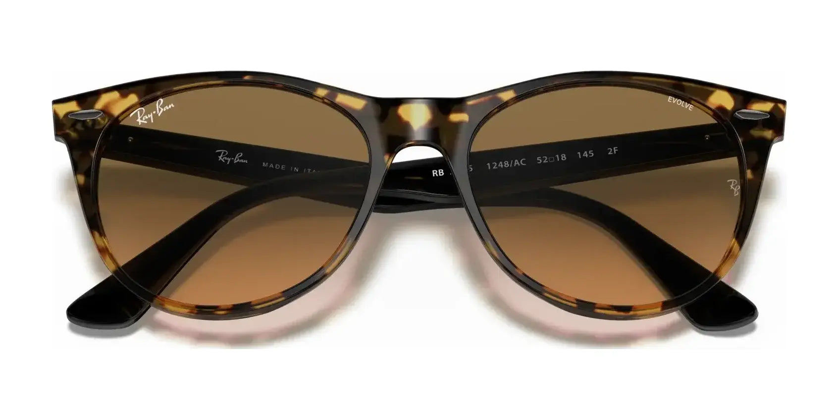 Ray-Ban WAYFARER II RB2185 Sunglasses | Size 55