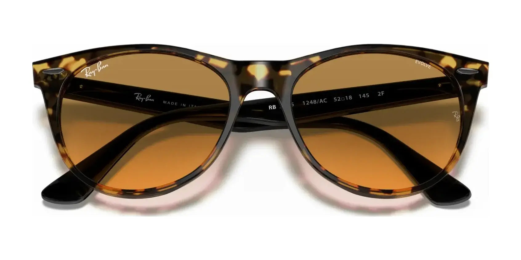 Ray-Ban WAYFARER II RB2185 Sunglasses | Size 55