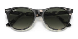 Ray-Ban WAYFARER II RB2185 Sunglasses