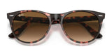 Ray-Ban WAYFARER II RB2185 Sunglasses